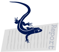 AnaLyzard Logo